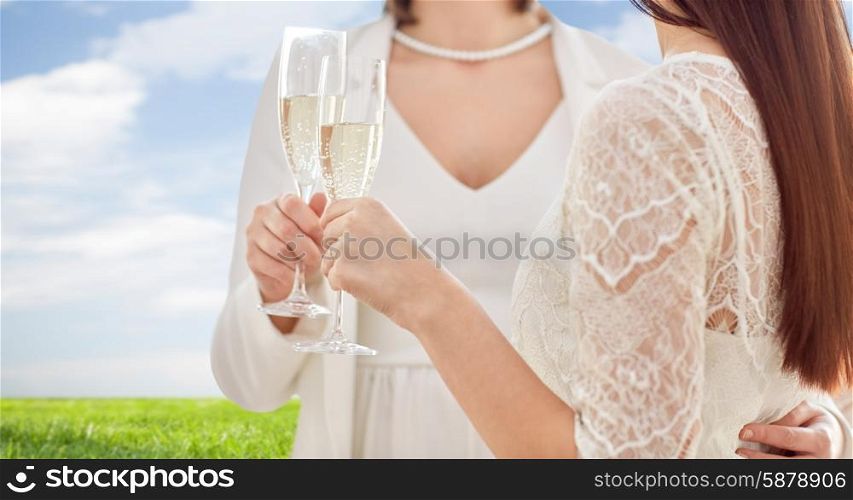 people, homosexuality, same-sex marriage, celebration and love concept - close up of happy married lesbian couple holding and clinking champagne glasses over blue sky and grass background