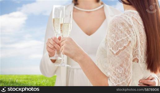 people, homosexuality, same-sex marriage, celebration and love concept - close up of happy married lesbian couple holding and clinking champagne glasses over blue sky and grass background