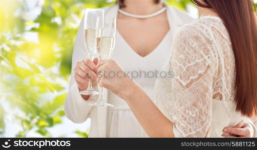people, homosexuality, same-sex marriage, celebration and love concept - close up of happy married lesbian couple holding and clinking champagne glasses over green tree leavers background