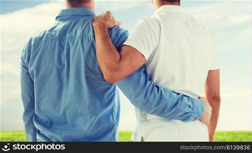 people, homosexuality, same-sex marriage, gay and love concept - close up of happy male gay couple or friends hugging from back over blue sky and grass background