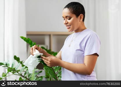people, housework and care concept - happy african american woman with tissue cleaning houseplant&rsquo;s leaves at home. happy african american woman cleaning houseplant