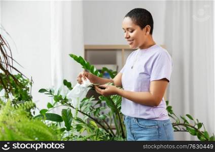 people, housework and care concept - happy african american woman with tissue cleaning houseplant&rsquo;s leaves at home. happy african american woman cleaning houseplant