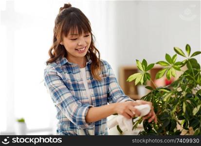 people, housework and care concept - happy asian woman or housewife cleaning houseplant leaves by tissue at home. happy woman cleaning houseplant leaves at home