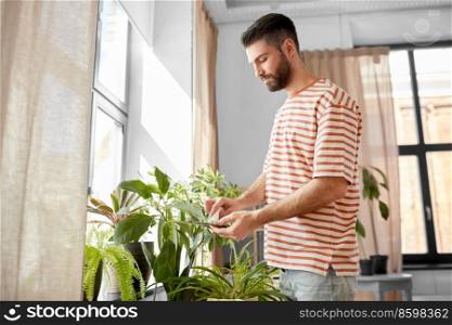 people, housework and care concept - happy man with tissue cleaning houseplant’s leaves at home. man cleaning houseplant with tissue at home