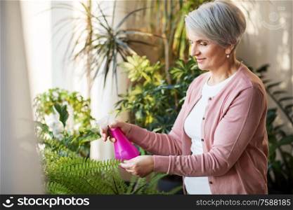 people, housework and care concept - happy senior woman with spray bottle spraying houseplants at home. happy senior woman spraying houseplants at home