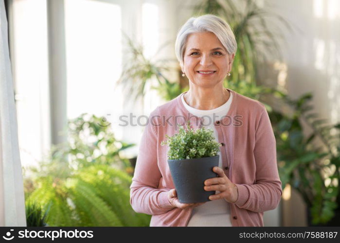 people, housework and plants care concept - happy smiling senior woman with flower in pot at home. happy senior woman with flower in pot at home