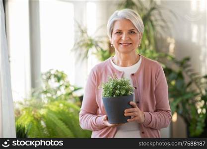 people, housework and plants care concept - happy smiling senior woman with flower in pot at home. happy senior woman with flower in pot at home
