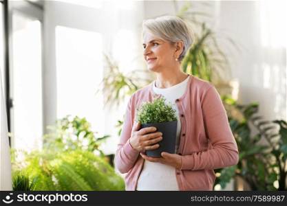 people, housework and plants care concept - happy smiling senior woman with flower in pot at home. happy senior woman with flower in pot at home