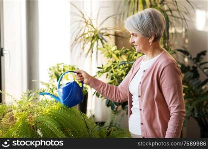 people, housework and plants care concept - senior woman watering houseplants at home. senior woman watering houseplants at home