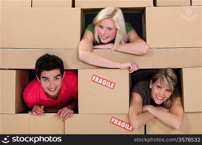 People in a wall of boxes