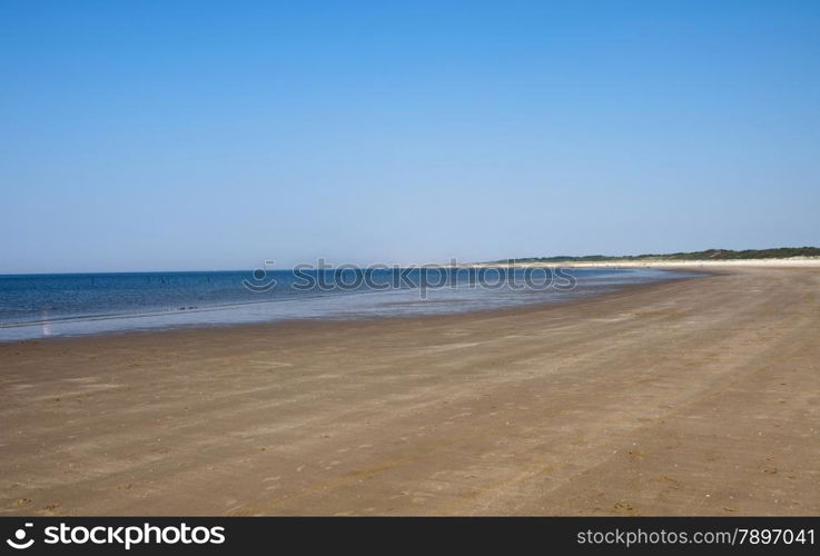 people in sea relax near the beach