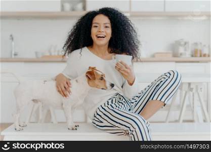 People, leisure and animals concept. Joyful dark skinned woman petts favourite dog, drinks hot beverage from white cup, looks happily aside spend time in kitchen. Caring host with jack russell terrier
