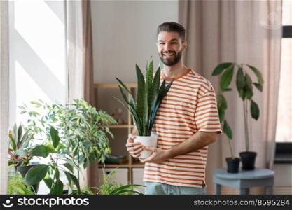 people, nature and plants concept - man holding flower in pot taking care of houseplants at home. man with flower taking care of houseplants at home