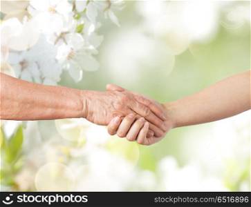 people, old age and generation concept - close up of senior and young woman holding hands over natural spring cherry blossom background. close up of senior and young woman holding hands. close up of senior and young woman holding hands
