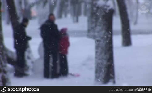 people play in the snow park