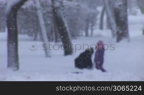 people play in the snow park