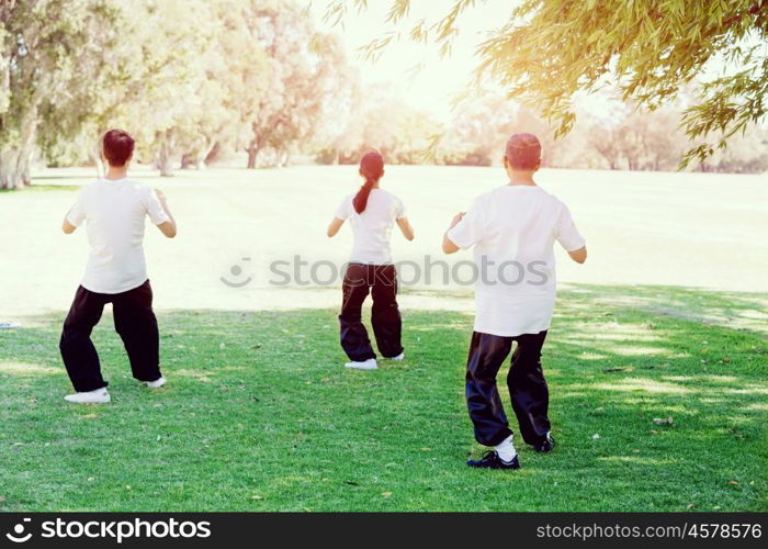 People practicing thai chi in park. People practicing thai chi in the park in the summertime