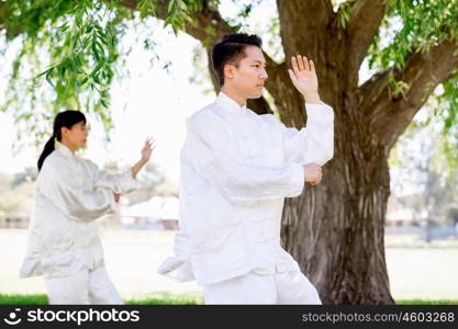 People practicing thai chi in park. People practicing thai chi in the park in the summertime