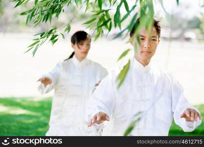 People practicing thai chi in park. People practicing thai chi in the park in the summertime