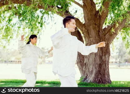 People practicing thai chi in park. People practicing thai chi in the park in the summertime