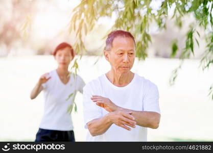 People practicing thai chi in park. People practicing thai chi in the park in the summertime