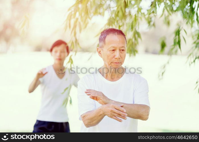 People practicing thai chi in park. People practicing thai chi in the park in the summertime