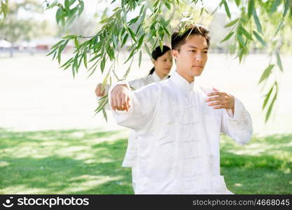 People practicing thai chi in park. People practicing thai chi in the park in the summertime