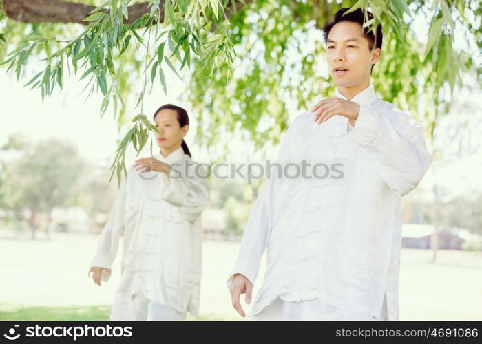 People practicing thai chi in park. People practicing thai chi in the park in the summertime