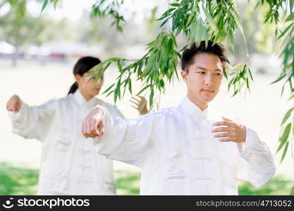 People practicing thai chi in park. People practicing thai chi in the park in the summertime