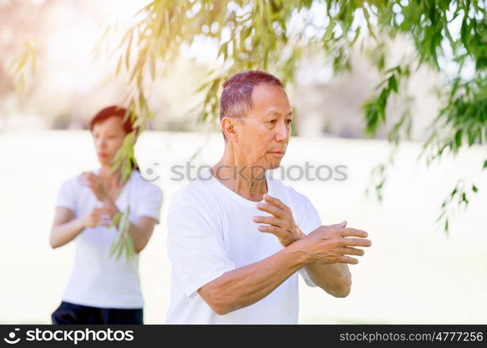 People practicing thai chi in park. People practicing thai chi in the park in the summertime