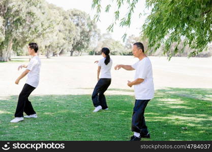 People practicing thai chi in park. People practicing thai chi in the park in the summertime