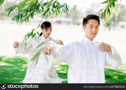 People practicing thai chi in park. People practicing thai chi in the park in the summertime