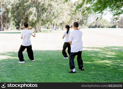 People practicing thai chi in park. People practicing thai chi in the park in the summertime