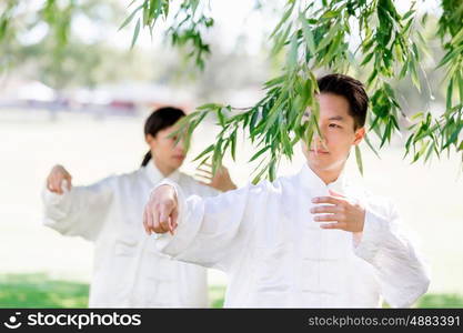 People practicing thai chi in park. People practicing thai chi in the park in the summertime