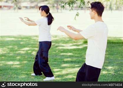 People practicing thai chi in park. People practicing thai chi in the park in the summertime