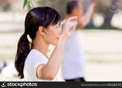 People practicing thai chi in park. People practicing thai chi in the park in the summertime