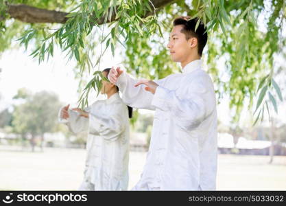 People practicing thai chi in park. People practicing thai chi in the park in the summertime