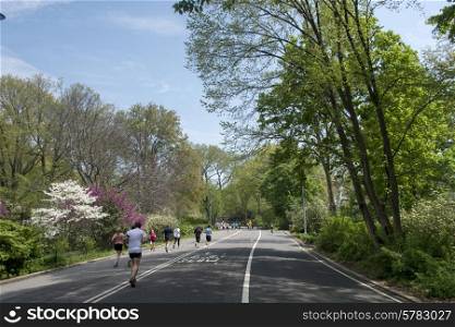 People running on road in Central Park, Manhattan, New York City, New York State, USA