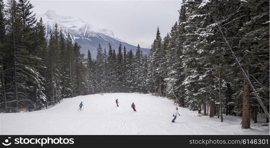 People skiing and snowboarding, Lake Louise, Banff National Park, Alberta, Canada