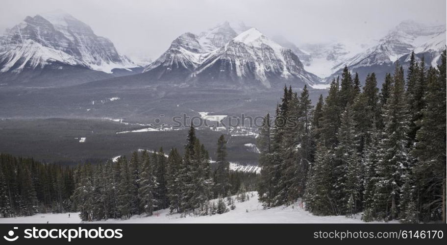 People skiing, Lake Louise, Banff National Park, Alberta, Canada