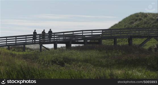 People standing on hiking footbridge in grassy field, Green Gables, Cavendish, Prince Edward Island National Park, Prince Edward Island, Canada