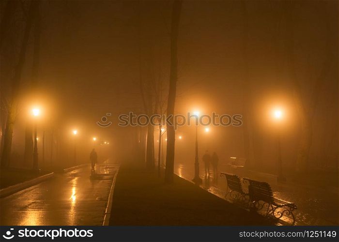 People walk by foggy park alley in th evening. Kyiv, Ukraine