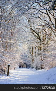 People walking along the snow covered Worth Way in East Grinstead