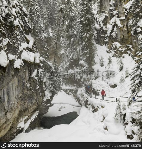 People walking along trail in Johnston Canyon, Banff National Park, Alberta, Canada