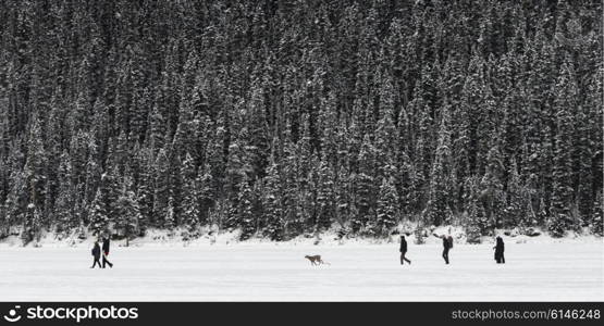 People walking in deep snow, Banff National Park, Alberta, Canada