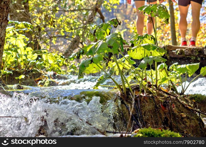 People walking in Plitvice lakes national park nature, Croatia