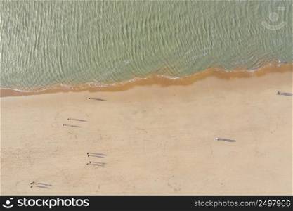 People walking on a north sea sandy beach, aerial drone view