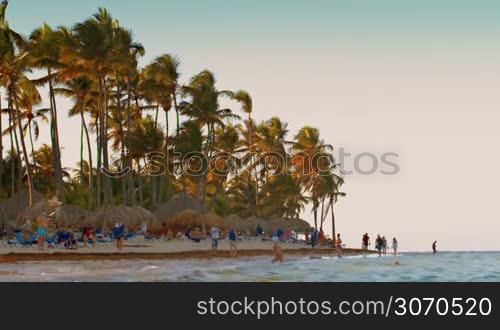 People walking on the beach with high palms and swimming, summer vacation
