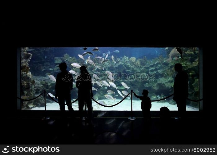 People watching big aquarium . People watching big aquarium with tropical fish