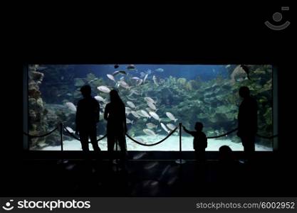 People watching big aquarium . People watching big aquarium with tropical fish